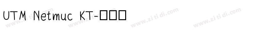 UTM Netmuc KT字体转换